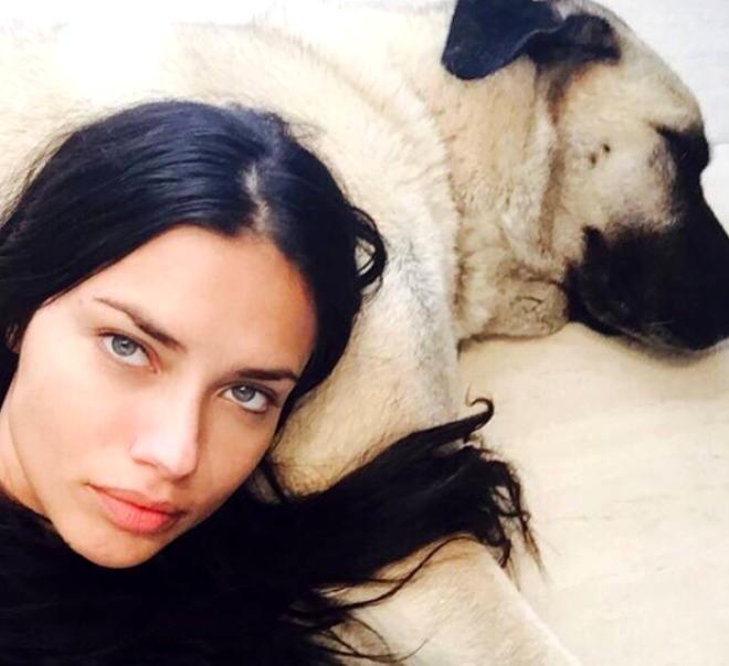 Adriana Lima'ya çağrı Köpeğin adımı olur limacığım. Senin itin olur