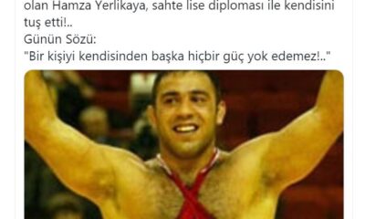 Hamza Yerlikaya sahte diploma ile nasıl Cumhurbaşkanı danışmanı oldu?