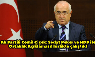 Ak Partili Cemil Çiçek: Sedat Peker ve HDP ile Ortaklık Açıklaması!