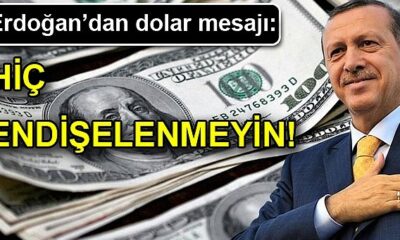 Dolar/TL’de tarihi seviye ulaştı! Dolar 8,60 TL