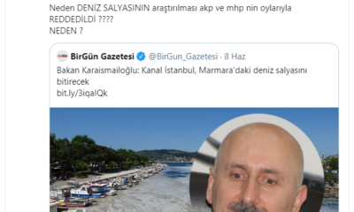 Ak Partili Troller Gökhan Özoğuz'u Deniz Salyası Üzerinden Eleştirmeye kalkınca rezil kepaze oldu!