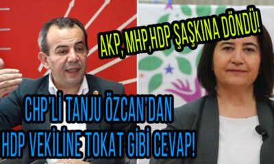 CHP'li Tanju Özcan ve HDP'li Serpil Kemalbay arasında mülteci gerginliği: Beni ağababalarına sor!