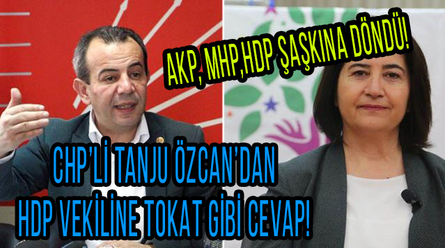 CHP'li Tanju Özcan ve HDP'li Serpil Kemalbay arasında mülteci gerginliği: Beni ağababalarına sor!