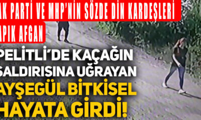 ak parti din kardeşi