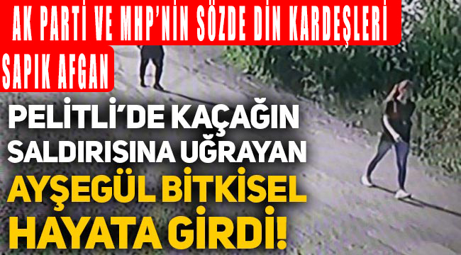 ak parti din kardeşi