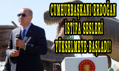 Cumhurbaşkanı Erdoğan istifa sesleri yükselmeye başladı!