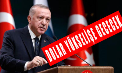 Dolar yükselişe geçecek