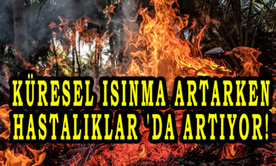 Küresel Isınma Artarken, Hastalıklar 'da artıyor!