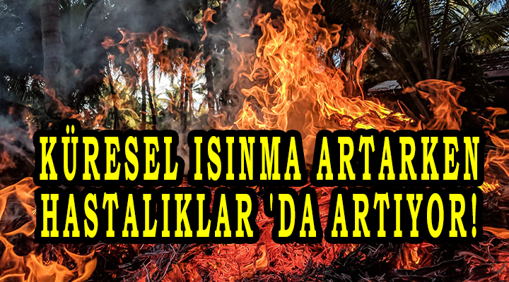 Küresel Isınma Artarken, Hastalıklar 'da artıyor!