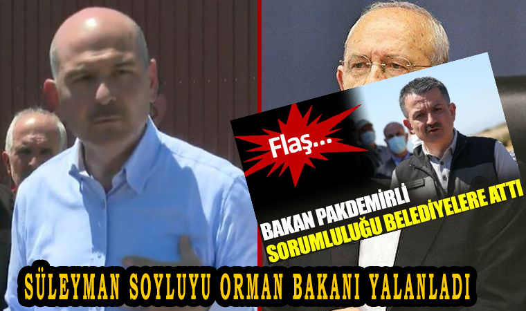 Süleyman soylu orman yangını