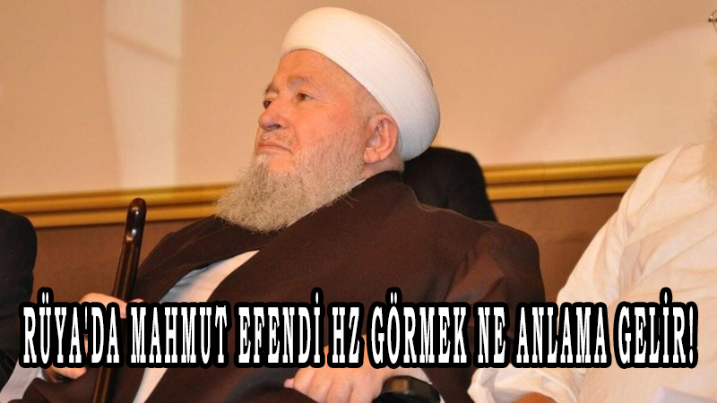 Rüya'da Mahmut Efendi Hz görmek ne anlama gelir!