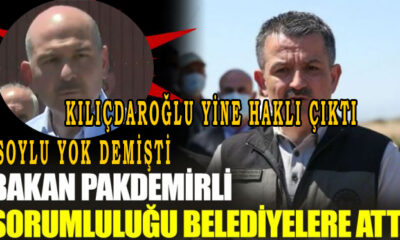 Süleyman Soyluyu Bekir Pakdemirli, Yalanladı! Bekir Pakdemirli: orman yerlerindeki sorumluluk belediyelerdedir