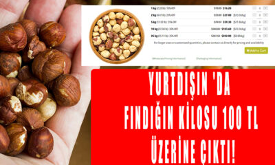 Yurtdışın 'da Fındığın Kilosu 100 TL üzerine çıktı!