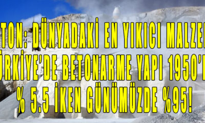 Beton: Dünyadaki en yıkıcı malzeme, Türkiye’de betonarme yapı 1950’de % 5.5 iken günümüzde %95!