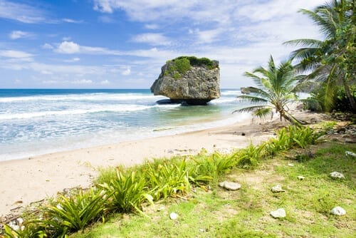 Bathsheba Plajı, Barbados