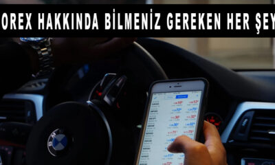 Forex Hakkında Bilmeniz Gereken Her Şey!