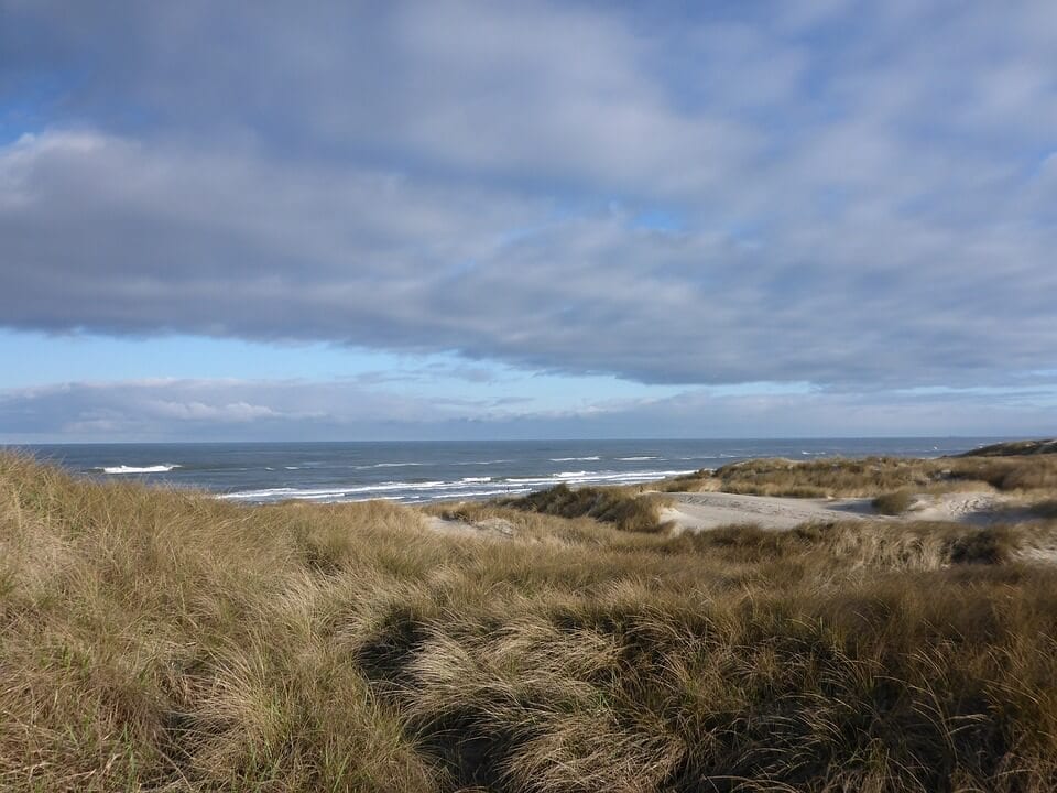 Henne Strand, Danimarka