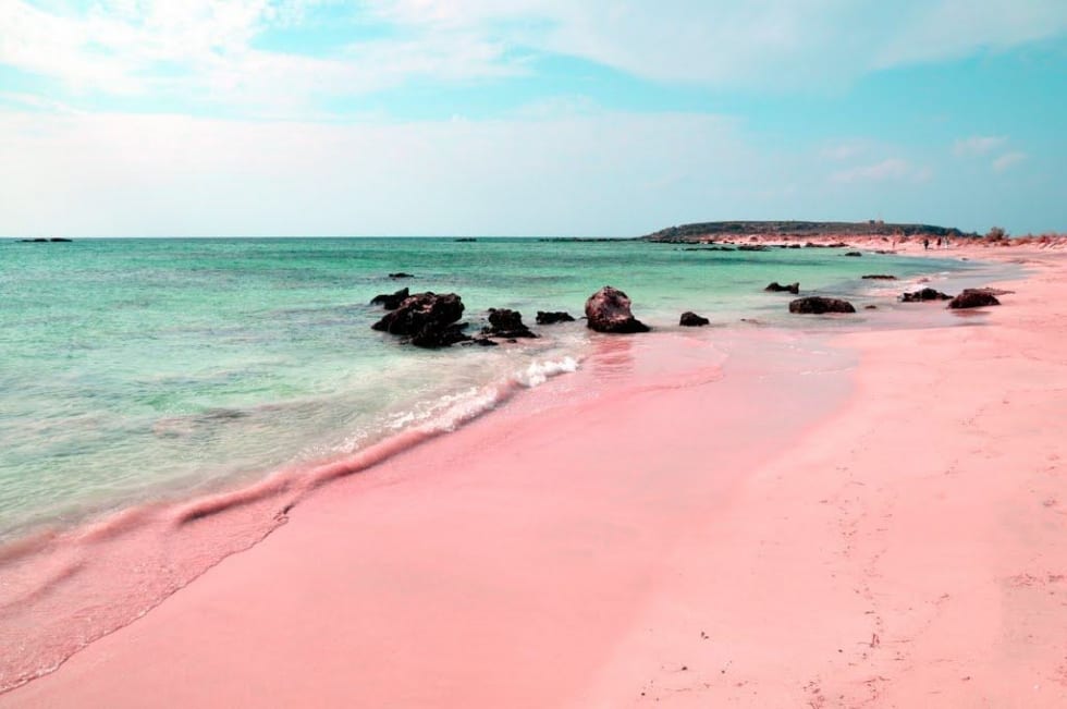 Pembe Kum Plajı, Bahamalar