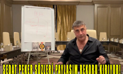 Sedat Peker Sözleri