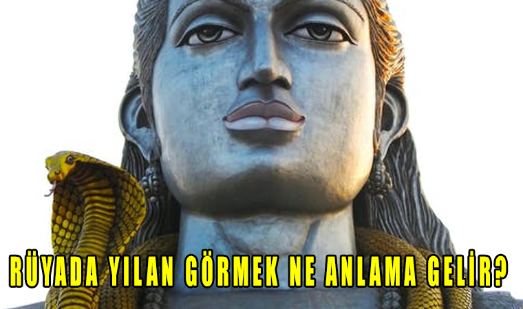 Rüyada Yılan Görmek Ne Anlama Gelir?