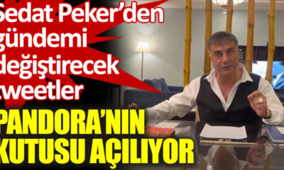 Sedat Peker Pandora Papers’a ilişkin dikkat çeken ifadeler kullandı, Hayatına uzun süredir yurt dışında ailesi ile devam etmek zorunda kalan Peker Pandora belgeleri ile ilgili dikkat çeken açıklamalar yaptı.