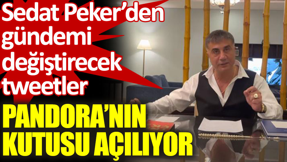 Sedat Peker Pandora Papers’a ilişkin dikkat çeken ifadeler kullandı, Hayatına uzun süredir yurt dışında ailesi ile devam etmek zorunda kalan Peker Pandora belgeleri ile ilgili dikkat çeken açıklamalar yaptı.