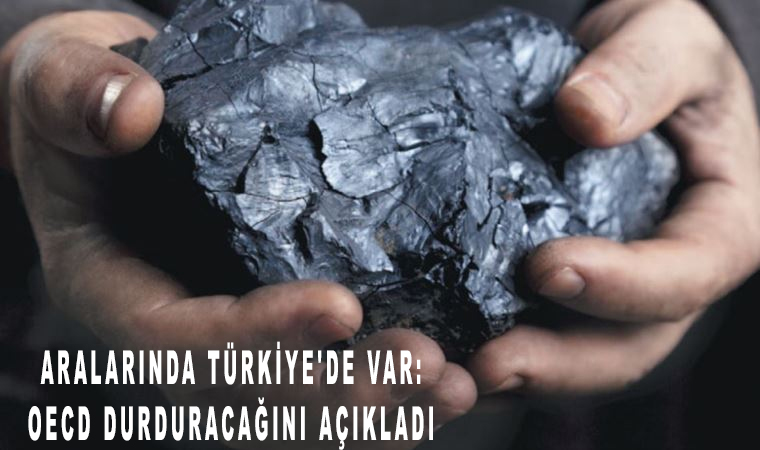 OECD ülkeleri kömür santralleri için ihracat kredisi sağlamayı durduracak