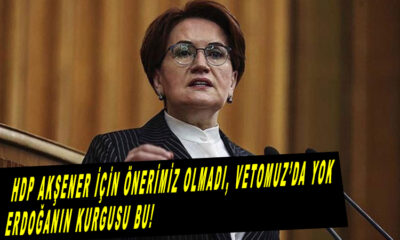 Cumhurbaşkanı Erdoğan'ın Meral Akşener iddiasına HDP'den yanıt, bizim önerimiz 'de vetomuz 'da yok!