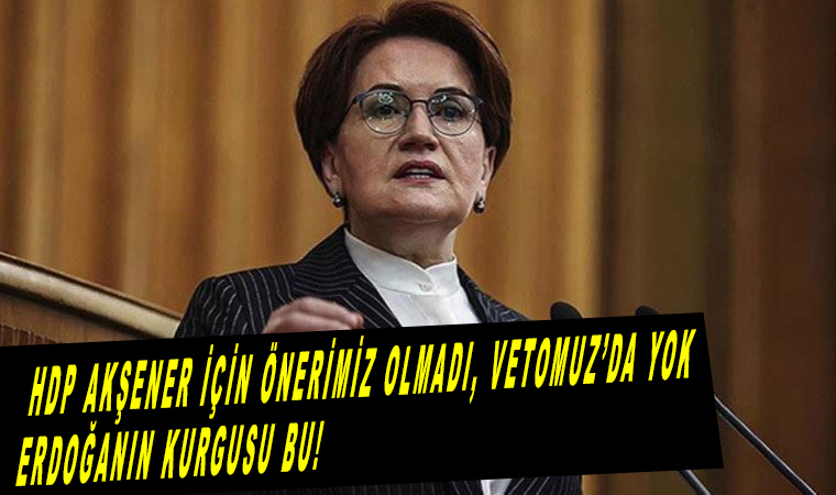 Cumhurbaşkanı Erdoğan'ın Meral Akşener iddiasına HDP'den yanıt, bizim önerimiz 'de vetomuz 'da yok!