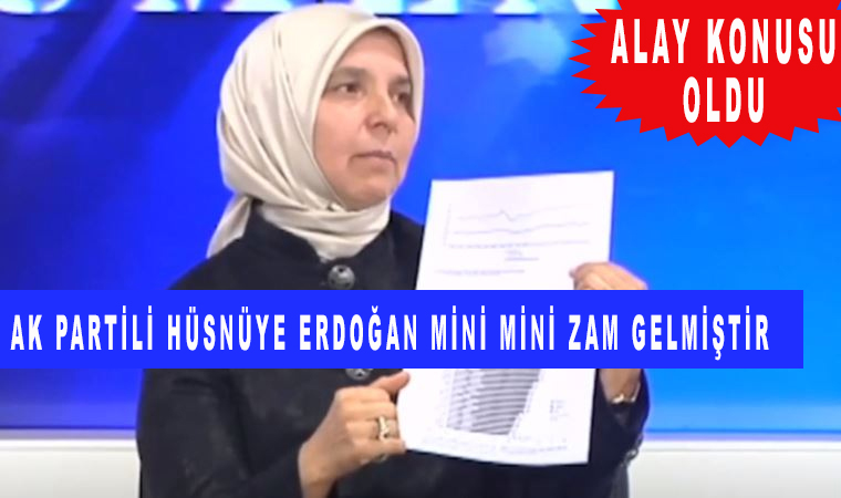 Ak Partili Hüsnüye Erdoğan: Zam gelmiştir ama mini mini gelmiştir dedi, sosyal medyada alay konusu oldu