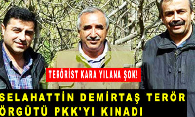 Selahattin Demirtaş, Ak Partiye karşı blok çağrısı yaptı: PKK'yi kınadı, Karayılan şok oldu!