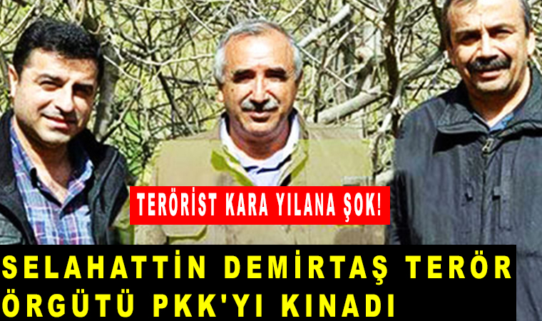 Selahattin Demirtaş, Ak Partiye karşı blok çağrısı yaptı: PKK'yi kınadı, Karayılan şok oldu!