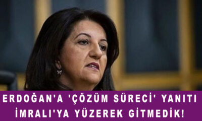 HDP'li Pervin Buldan'dan Erdoğan'a 'çözüm süreci' yanıtı: İmralı'ya yüzerek gitmedik!