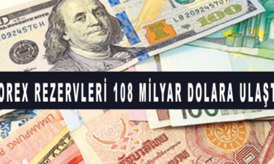 Forex rezervleri 108 milyar dolara ulaştı