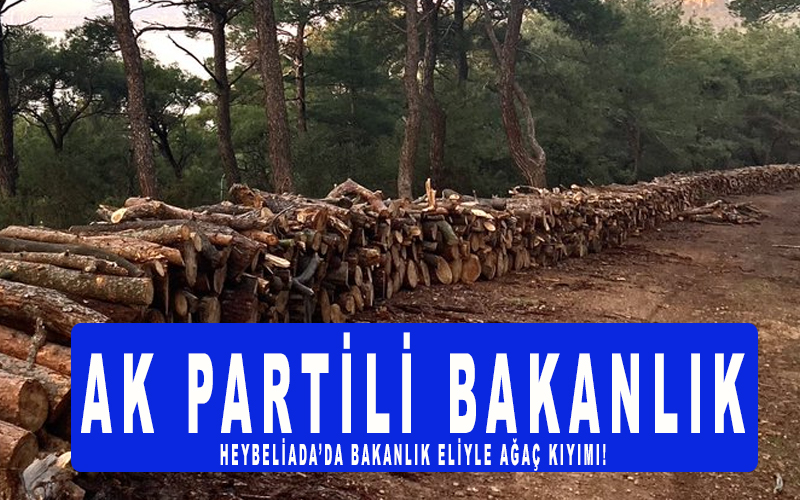 Heybeliada’da bakanlık eliyle ağaç kıyımı! Tarım ve Orman bakanı istifaya davet ediliyor!