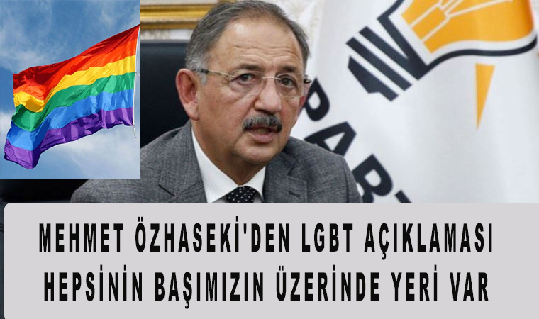 Ak Partili Mehmet Özhaseki'den LGBT açıklaması hepsinin başımızın üzerinde yeri var