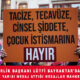 Lütfi Bayraktar taciz