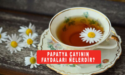 Papatya çayının faydaları nelerdir?