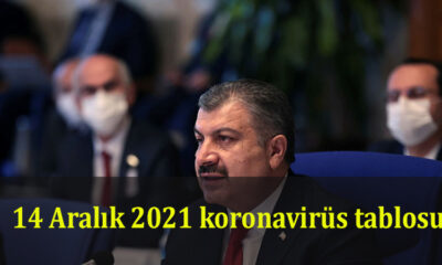 14 Aralık 2021 koronavirüs tablosu