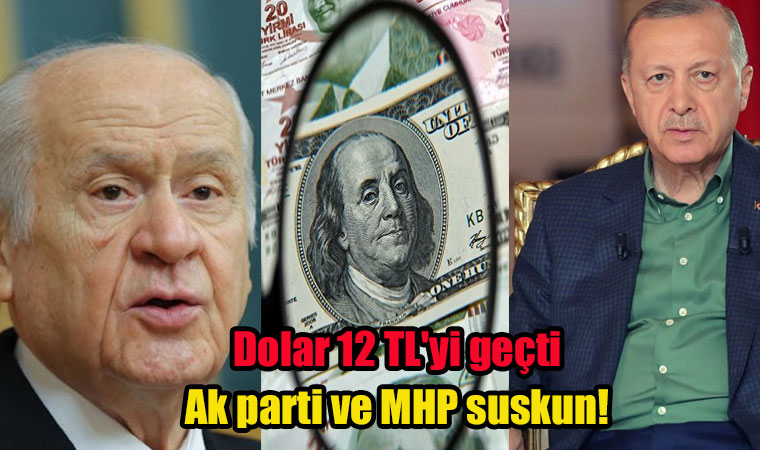 Döviz'de artış devam ediyor! Dolar 12 TL'yi geçti Ak parti ve MHP suskun!