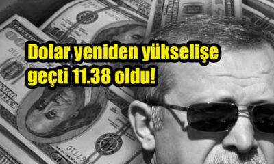 Dolar yeniden yükselişe geçti 11.38 oldu!