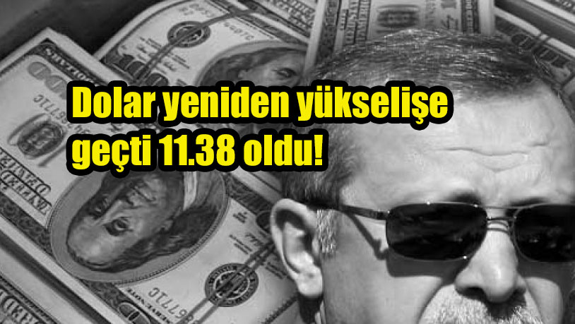 Dolar yeniden yükselişe geçti 11.38 oldu!