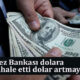 Merkez Bankası dolara müdahale etti dolar artmaya!