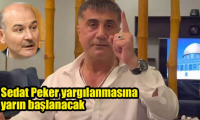 Sedat Peker