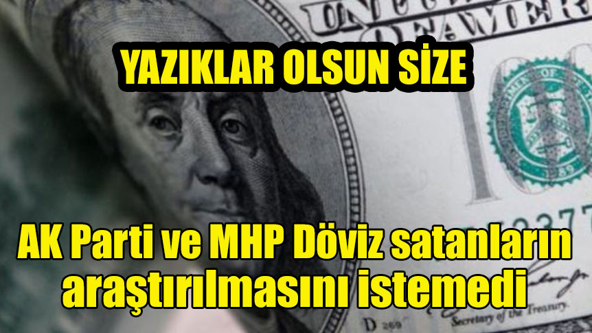 AK Parti ve MHP Döviz satanların araştırılmasını istemedi