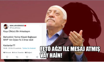 ak TROL HAİN