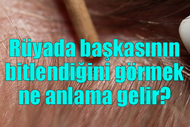 Rüyada başkasının bitlendiğini görmek ne anlama gelir