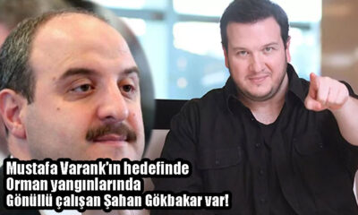 Mustafa Varank şahan gökbakar tepkisi