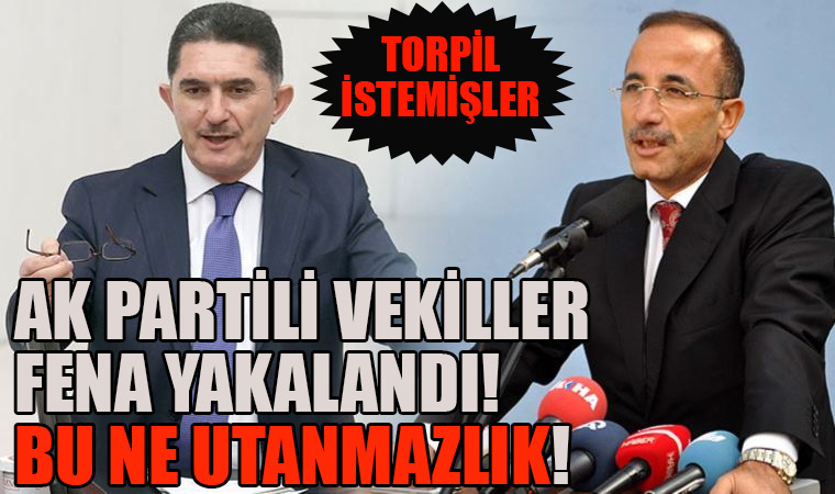 Ak Partili millet vekilleri Van valisi Ömer Keskin'den yakınları için torpil istedi!