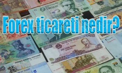 Forex ticareti nedir?